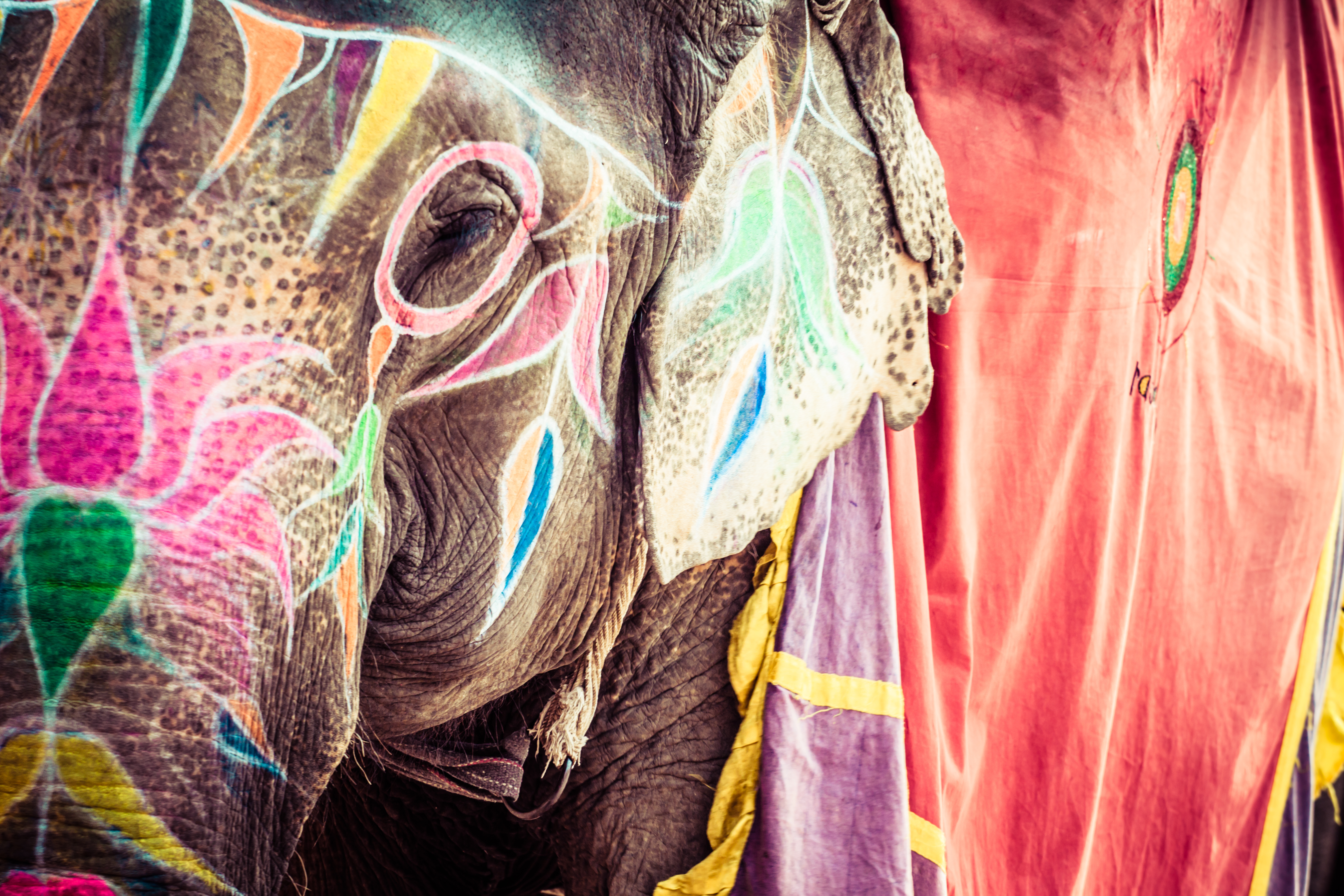Inde - terre de contrastes